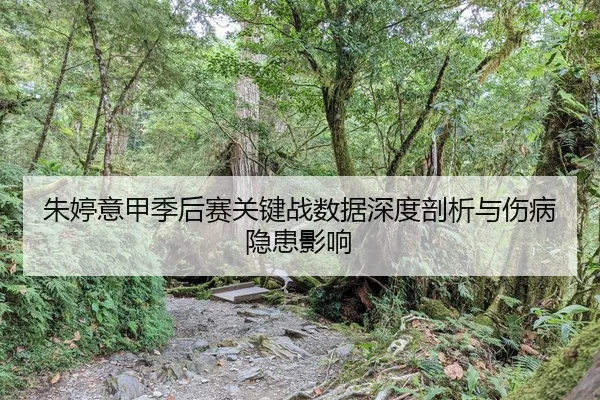 朱婷意甲季后赛关键战数据深度剖析与伤病隐患影响