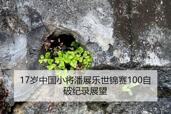 17岁中国小将潘展乐世锦赛100自破纪录展望