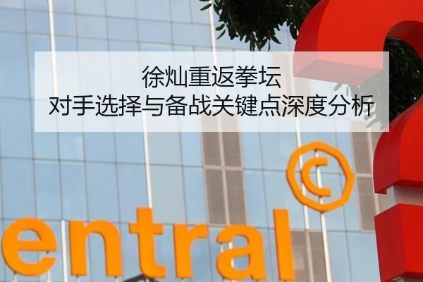 徐灿重返拳坛 对手选择与备战关键点深度分析